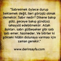 Mehmet Şah Demir
