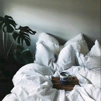 Nicole Root
