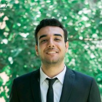 Youssef Anwar