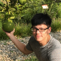 王土豆