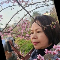 Hoa Hoang