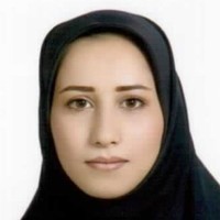 V Mehrabi