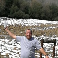 Willie Engelbrecht