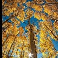 李旭昆