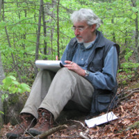 Marco Pierozzi