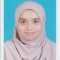 nik nur aida nik daud