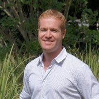 David Asaf