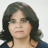 bahar budak