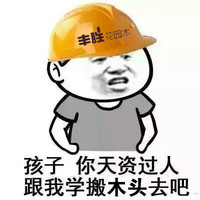 陈学雷