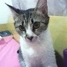 Lucy Lobo