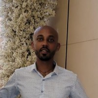 Lilay Gebremedhin Gebremeskel