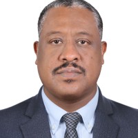 Walied Abdel Aziz Mohamed