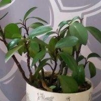 李任江