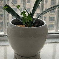 胡世涛