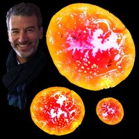 Paul Maraud
