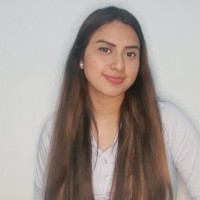 vanessa isabel Meza Huayllahua