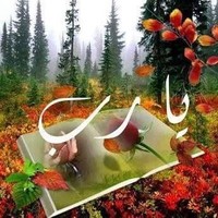 Wael Sapry