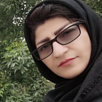 Fatemeh Vahidi