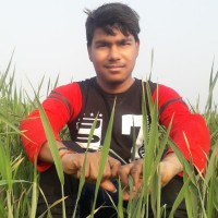 Nirankar ch Chauhan