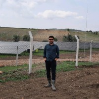 Fatih Mehmet KOÇAK