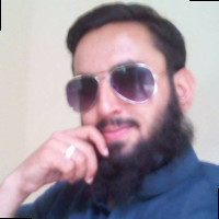 Muhammad M Kamran