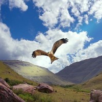 Феликс Рожков