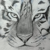 Giorgia Art