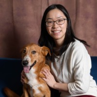 Tacita Vu