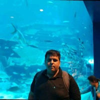 Sumit Arora