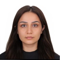 Merve Zengin Karagöz