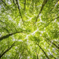 Green Project Solution Inc.