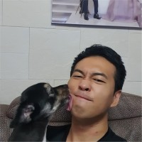 양해석