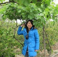 Lucy Deng