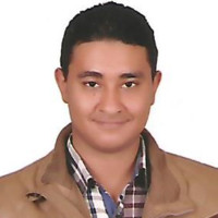 Mina Elmesseh
