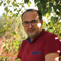 Sayyed Mojtaba Jafari Qamsari