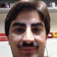 Qaisar Ali