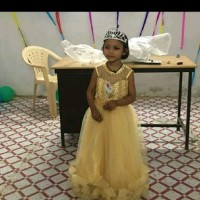 Satish Baghel