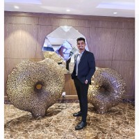 Amit Goswami