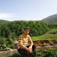 fariborz mardani