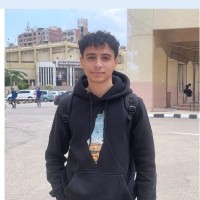 Mohamed Elissawy