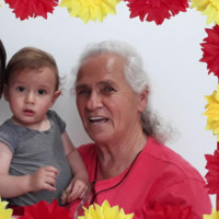 Dirce Borges Pereira de Sá