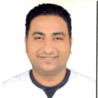 hesham alarabi
