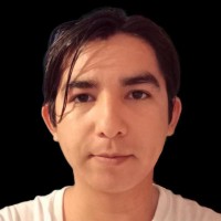 Luis Antonio Vega Robles