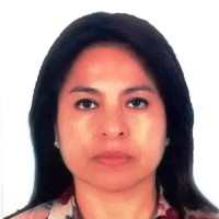 Mg. Ing. Rocio Paredes