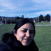 Silvia Bustos