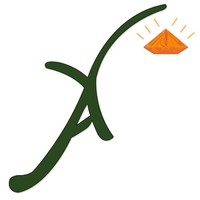 Avyayaya Tele Power IT Solutions