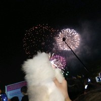 Nguyễn Minh Đức