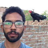 Afzaal Ansari