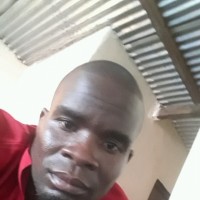 Elahm Mailoni