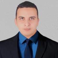 Mohamed Mekkawy